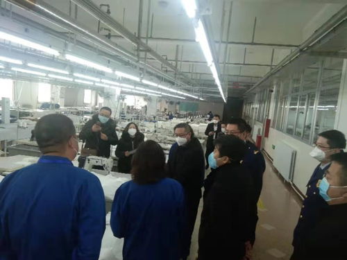 加強安全監管，助力疫情防控——自治區應急管理廳為防護用品生產企業提供專項安全指導服務